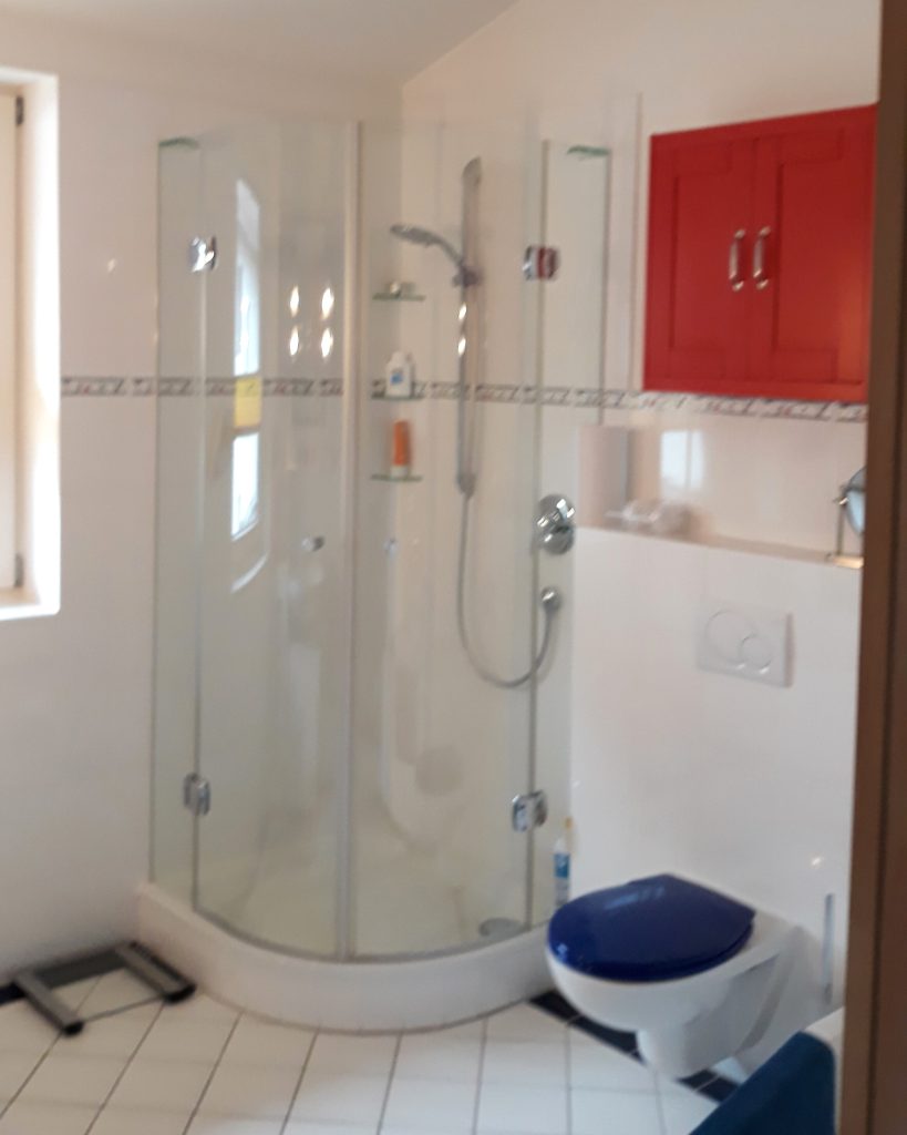 Bestandsbadezimmer mit Eckdusche und Wand-WC