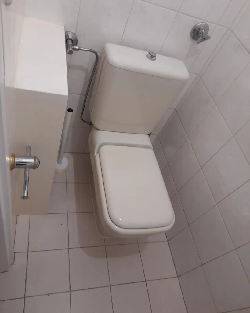 Vorher- Veraltetes Gäste-WC mit klassischen Fliesen