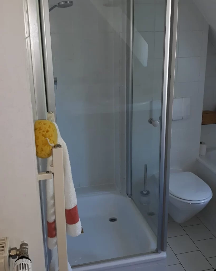 Vorher- Enge Dusche, veraltete Gestaltung