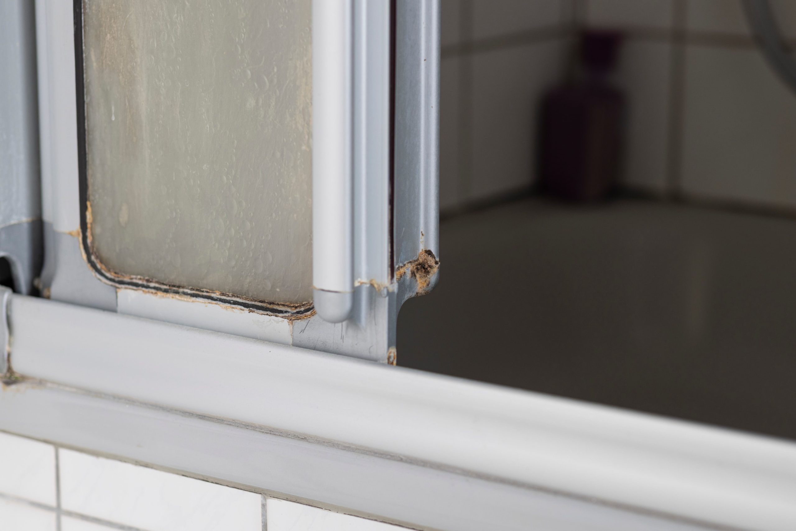 Schimmelbefall im Badezimmer erkennen