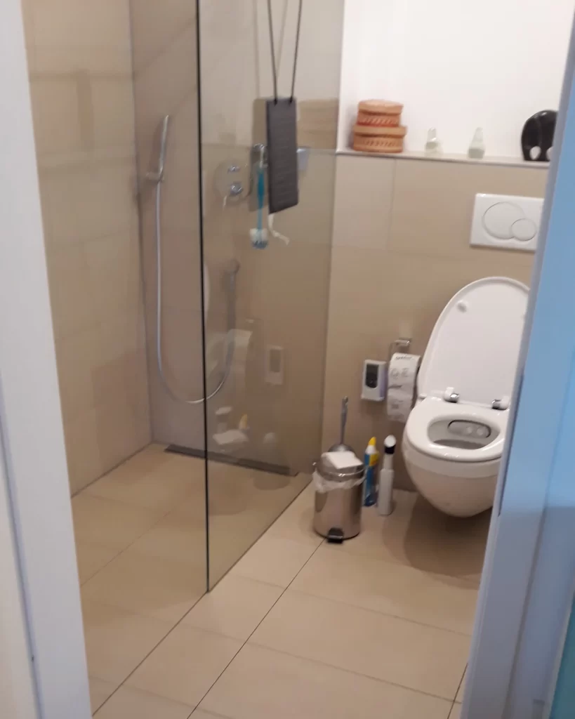 Vorher- Schlichtes Dusch-WC mit sandfarbenen Fliesen und Glasabtrennung